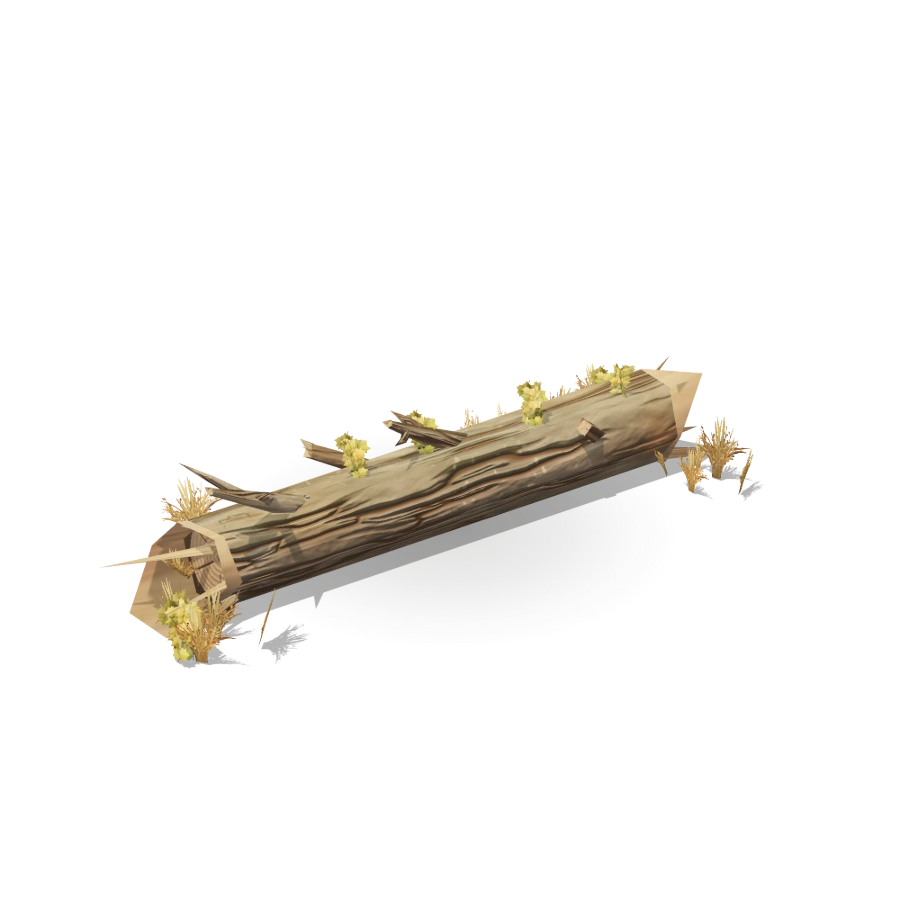 Fallen Broken Log