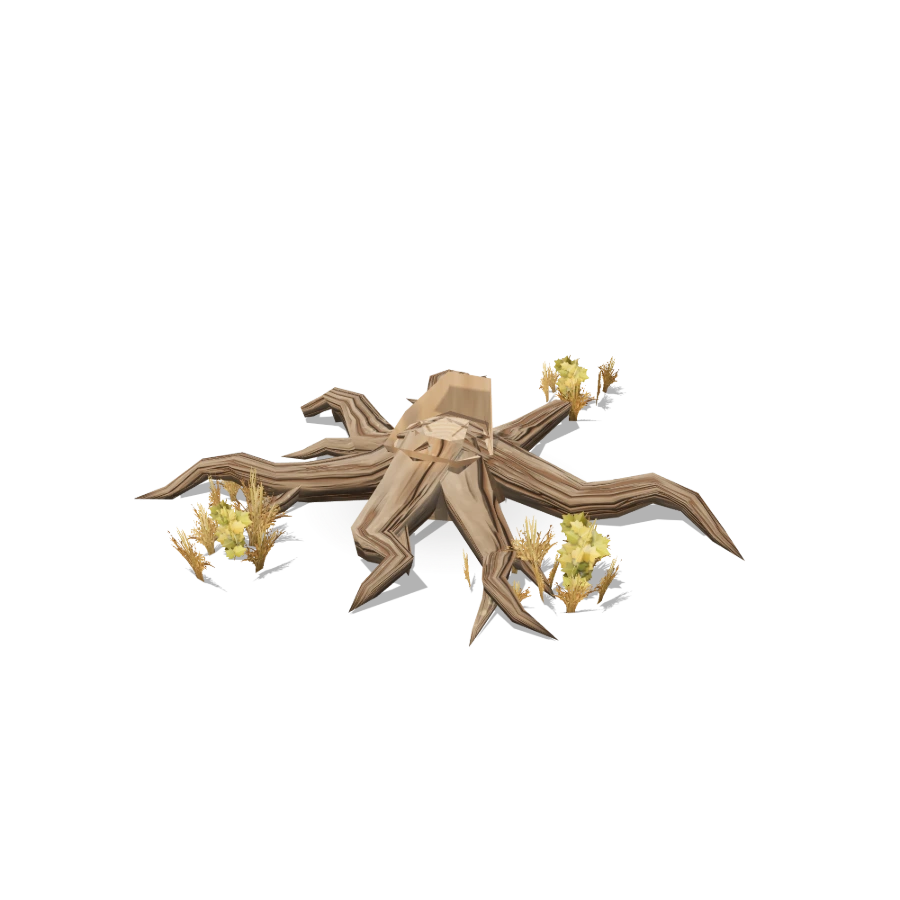 Surface Roots