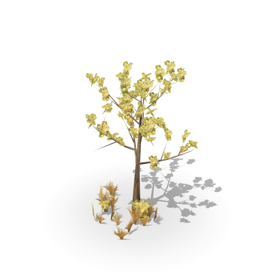 Young Sparse Tree