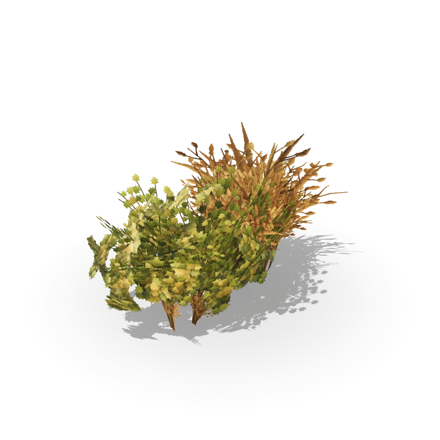 Leafy Bush