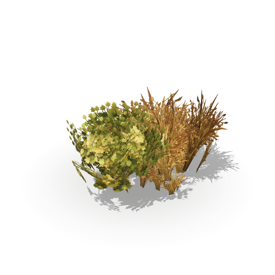 Leafy & Dry Bush