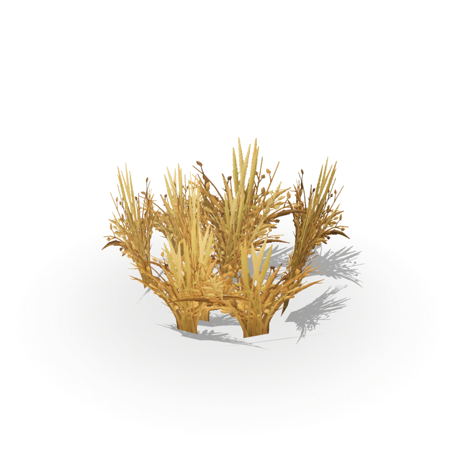 Small Dry Grass