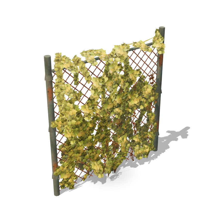 Chain-Link Fence (Dense Ivy)