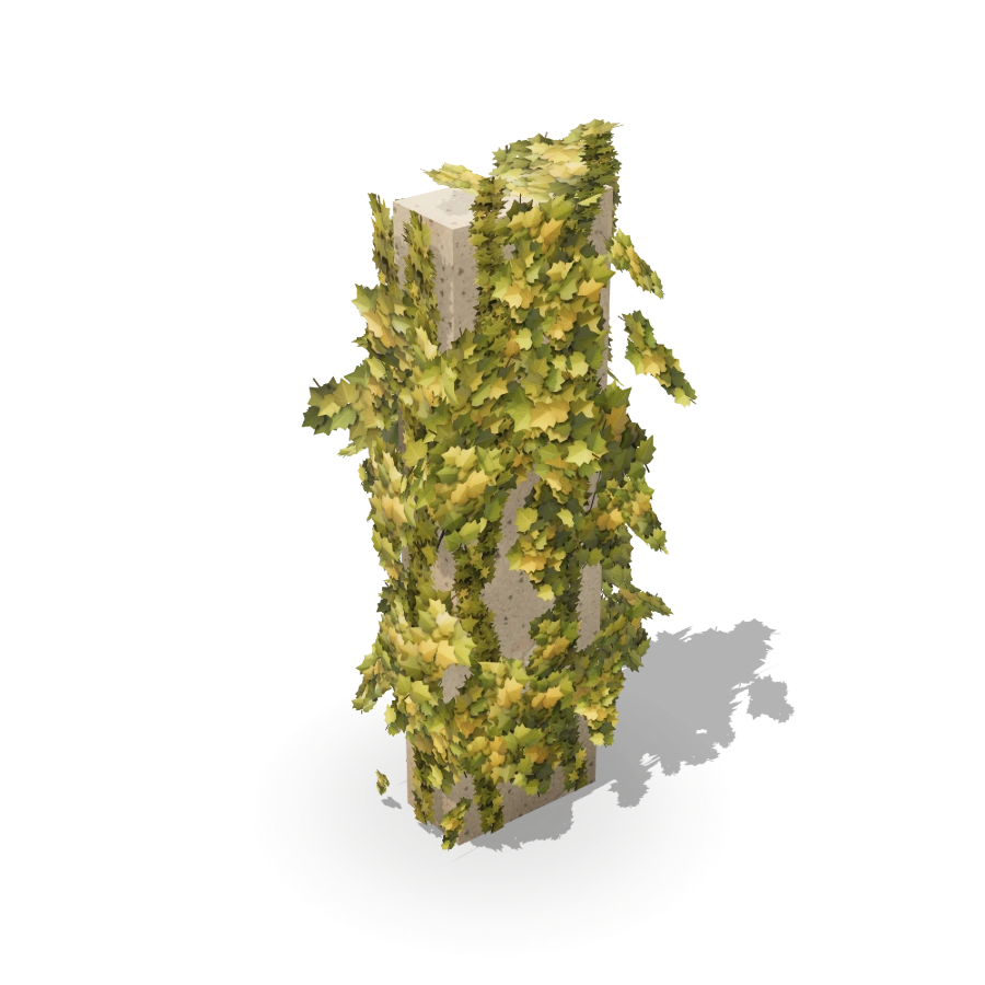 Ivy Pillar A