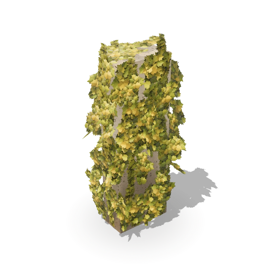 Ivy Pillar C