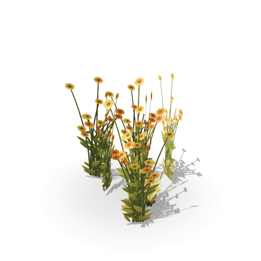 Wild Yellow Flowers
