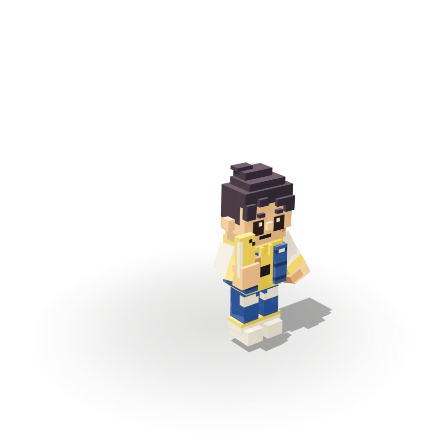 Blocky City Kid