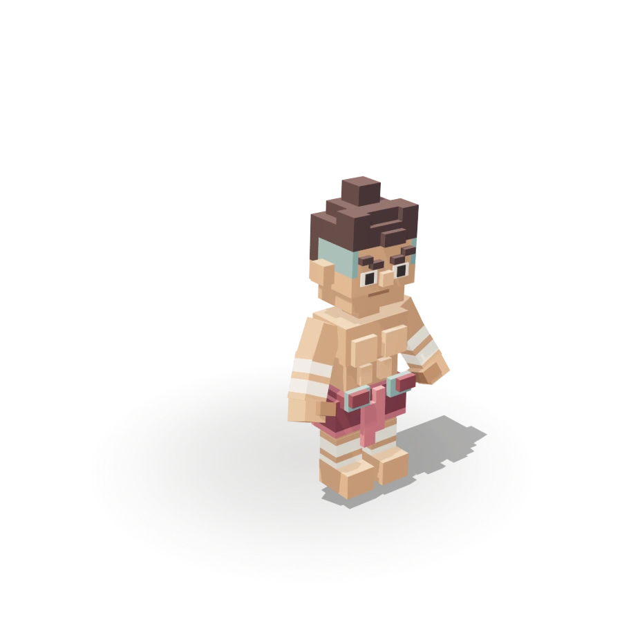 Blocky Wrapped Fighter