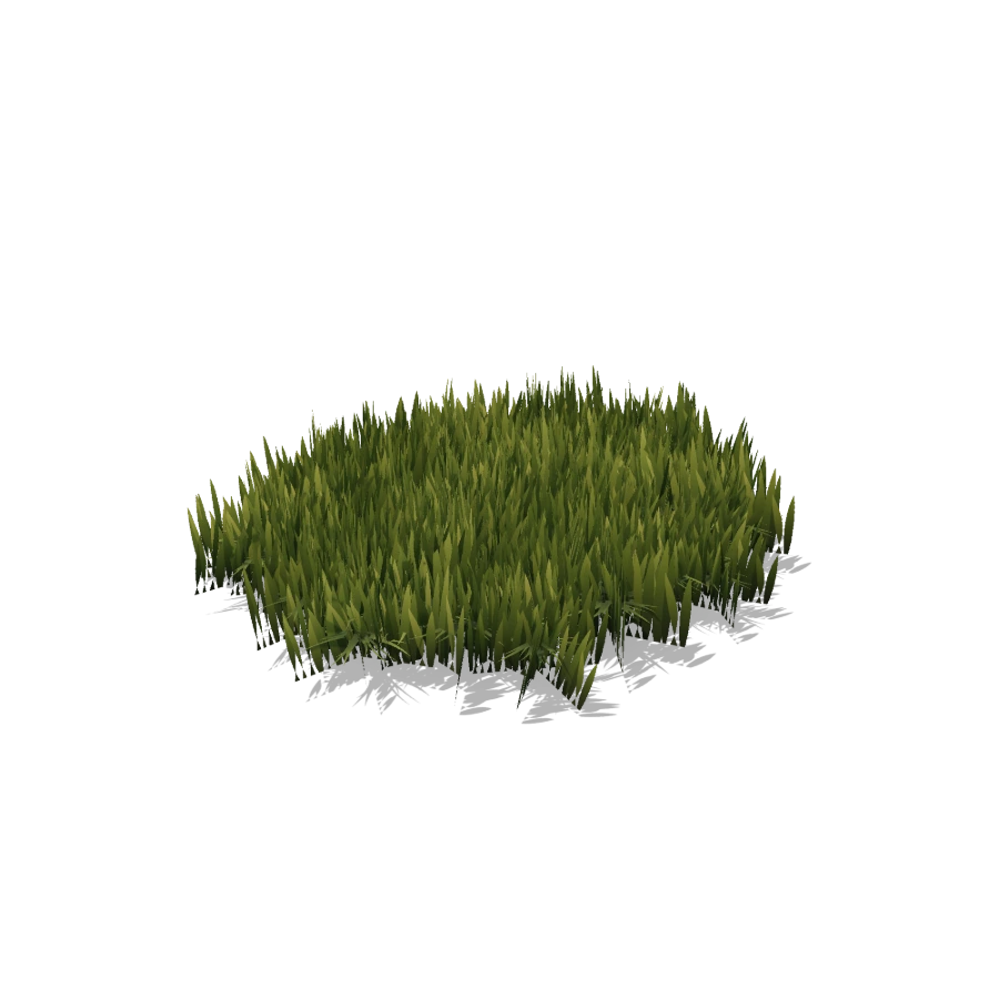 Grass Patch — Dense