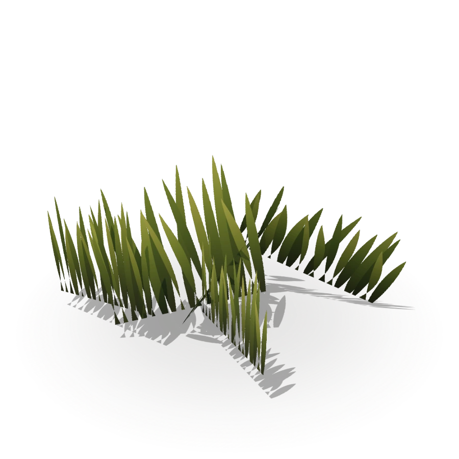 Grass Patch — Five Card