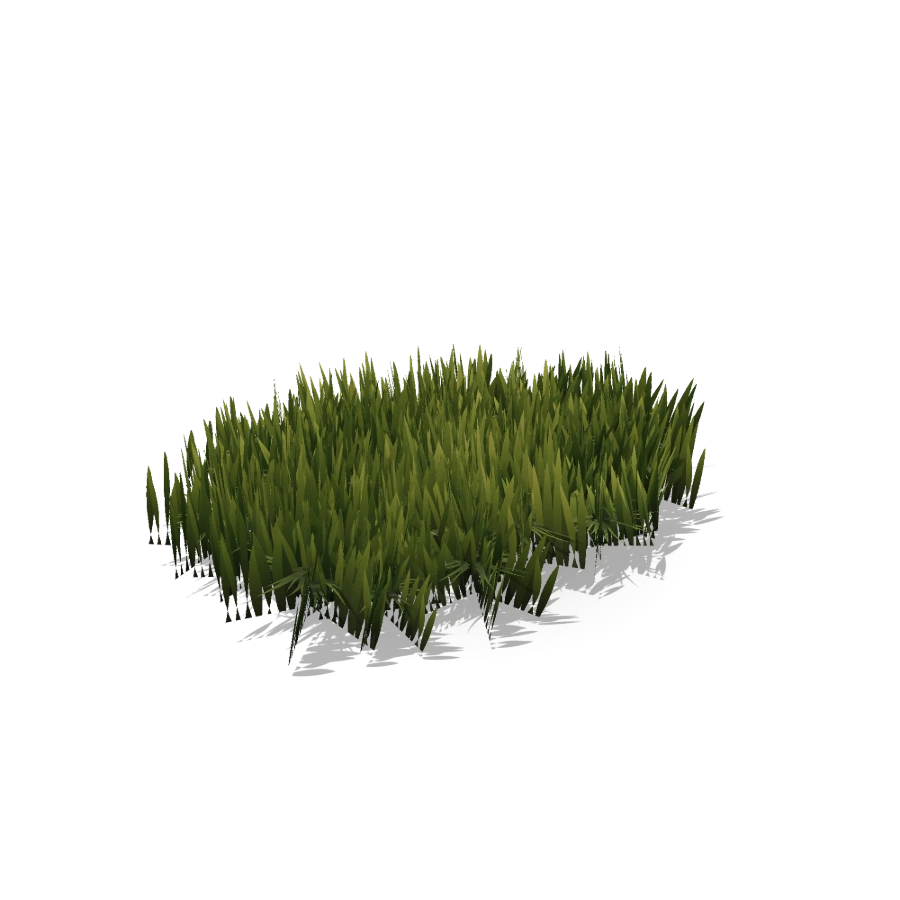 Grass Patch — Medium