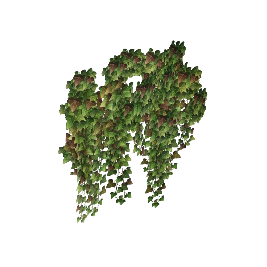 Ivy Vines — Curtain Patch
