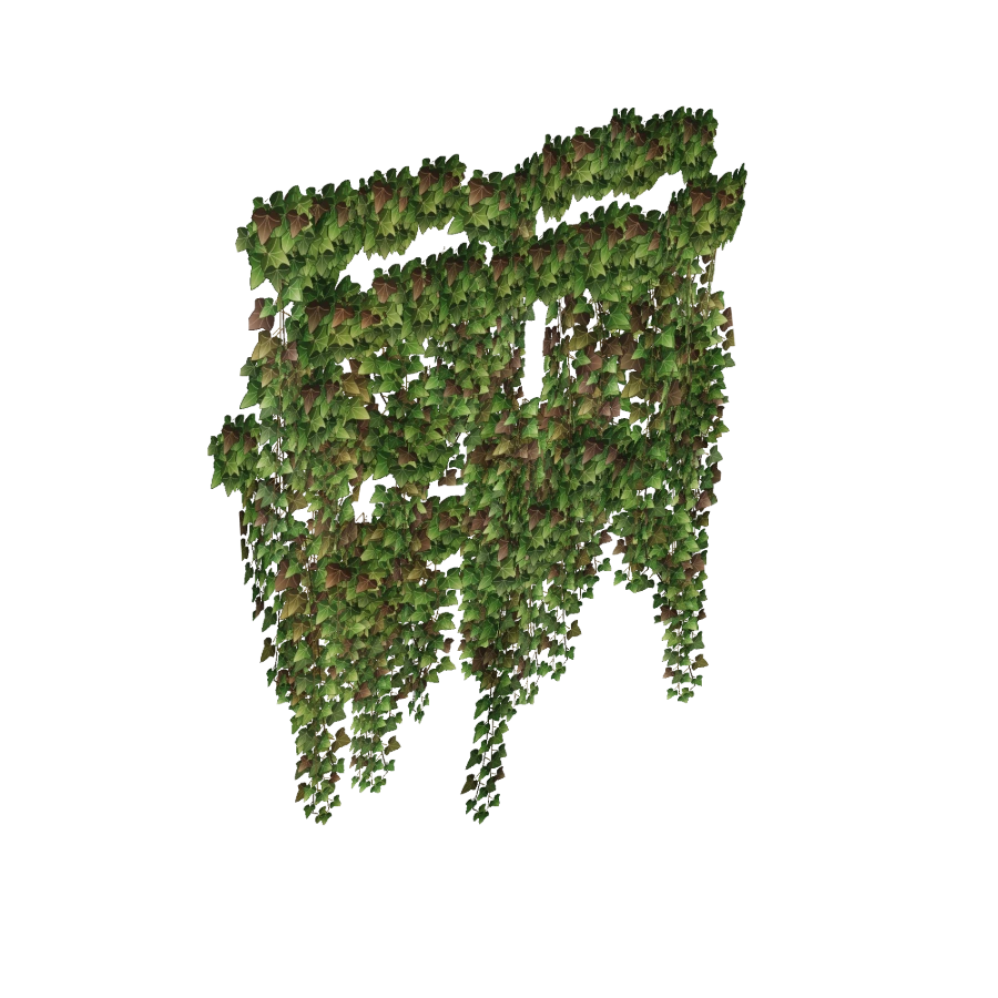 Ivy Vines — Tall Curtain