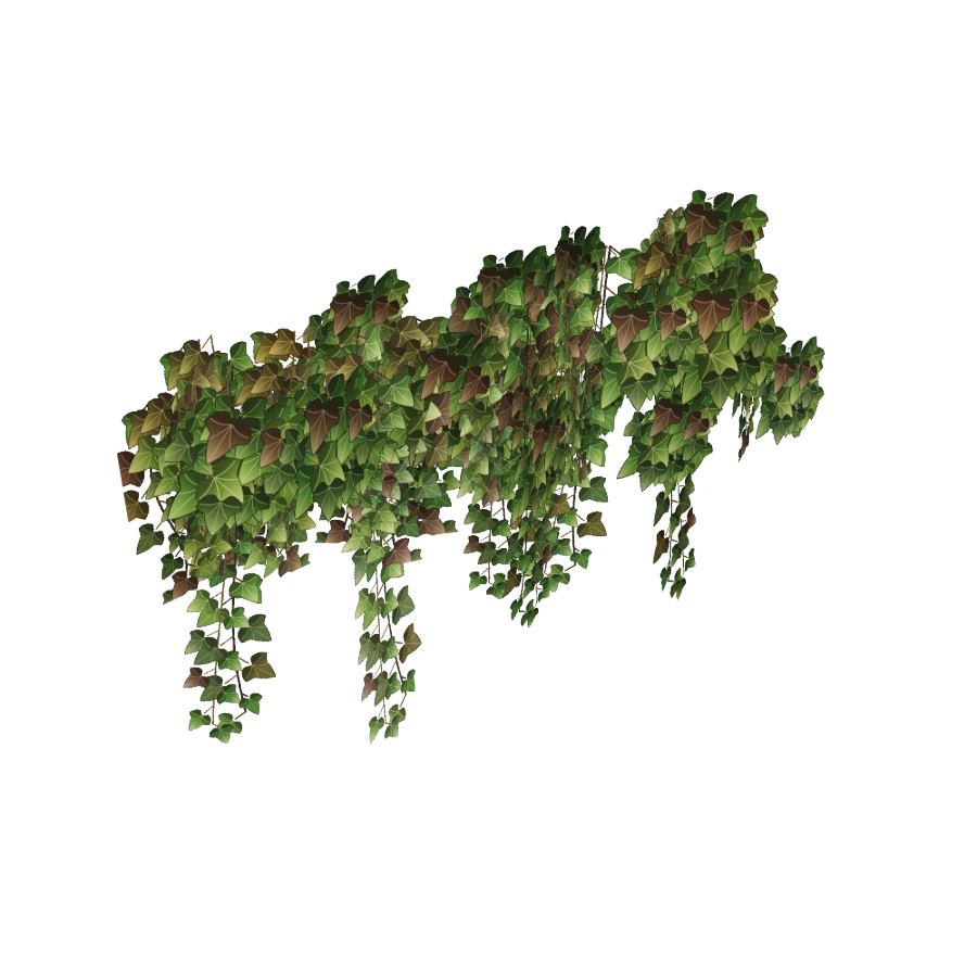 Ivy Vines — Short Valance