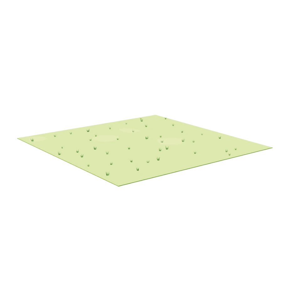 Grass Surface