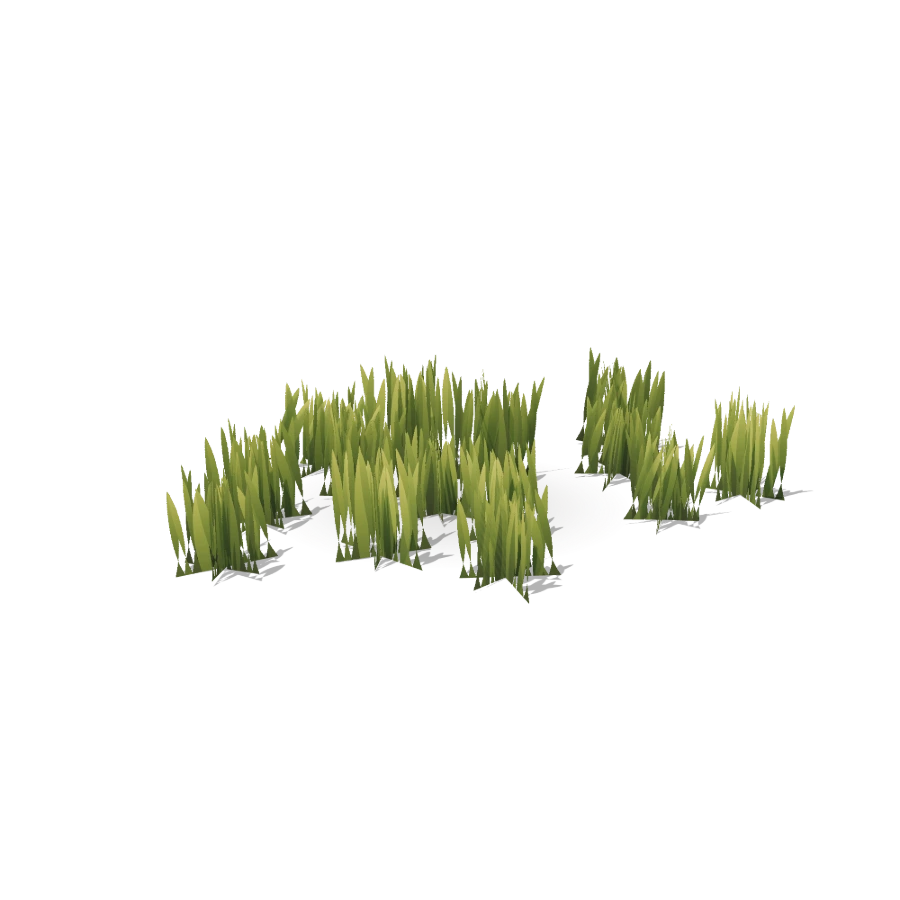 Sparse Grass Field