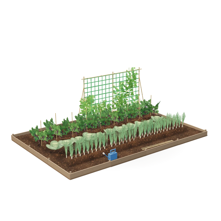 Vegetable Plot