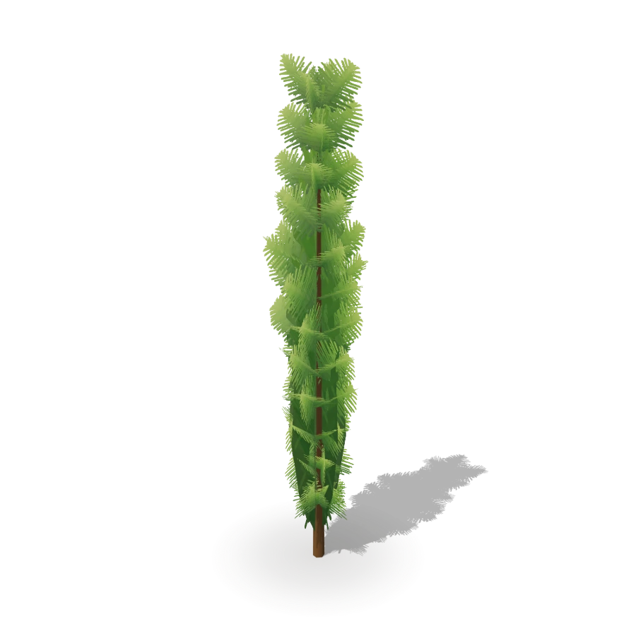 Narrow Column Conifer Planter