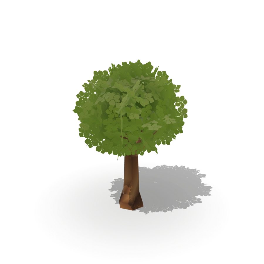 Round Canopy Tree