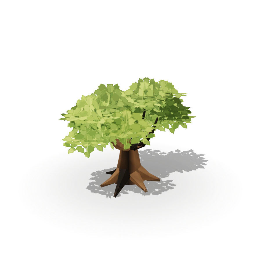 Spreading Oak Tree