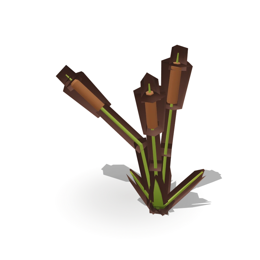 Cattails