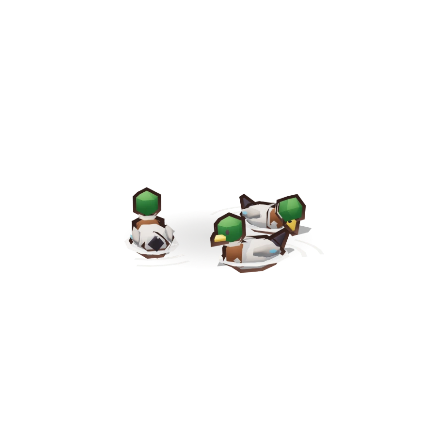Ducks